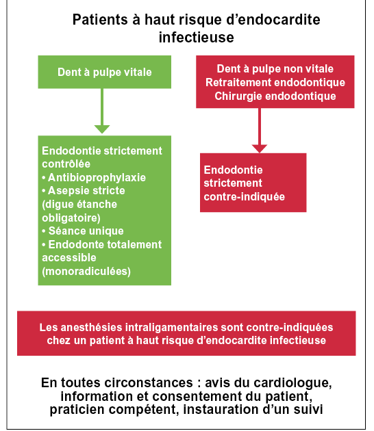 Indications et contre-indications therapeutiques — Orthodontie Rapide