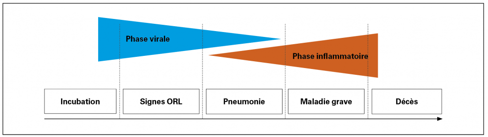 diagramme de pneumonie virale